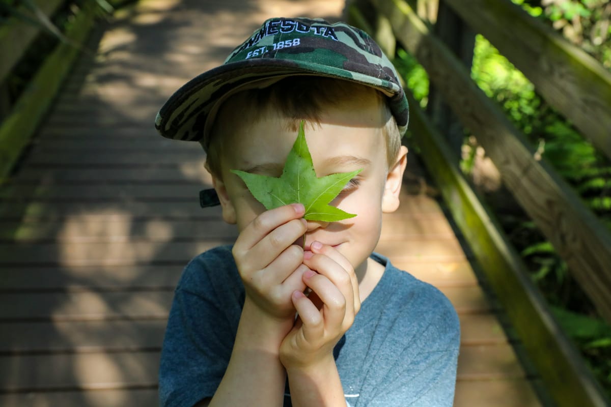 Leaf Peepers