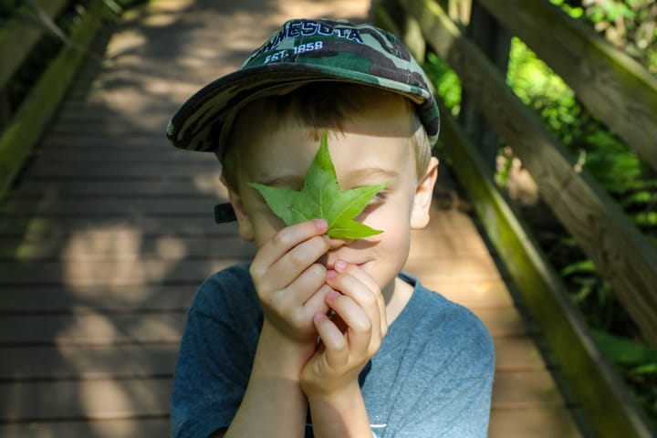 Leaf Peepers